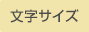 文字サイズ